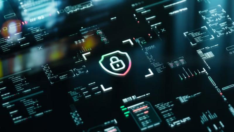 布尔津县软件开发公司